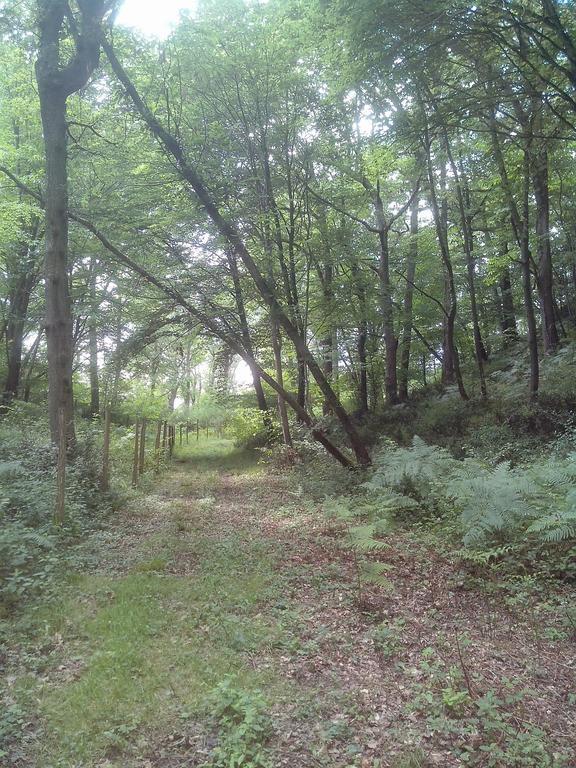Les Gites De Castera Aire-sur-l'Adour Ngoại thất bức ảnh